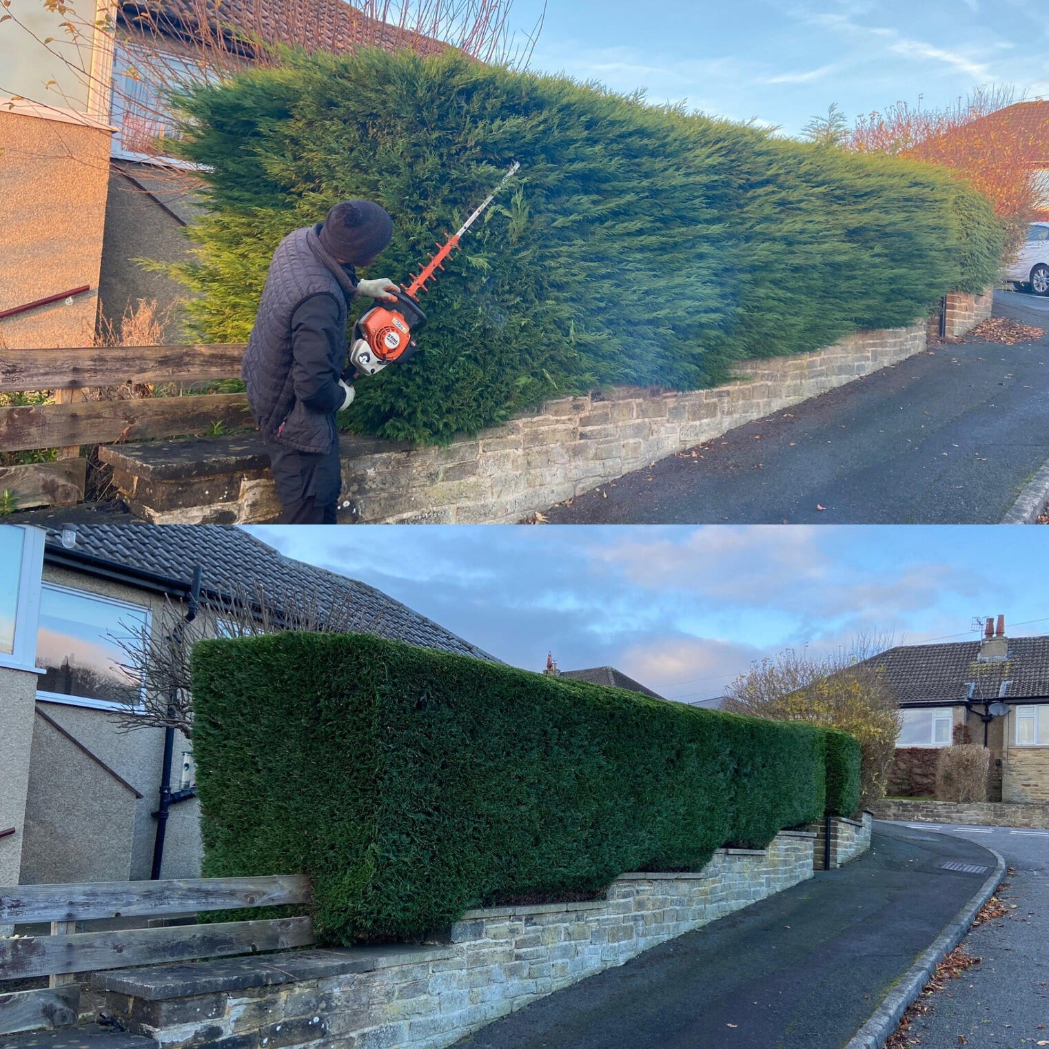 Hedge Trimming